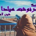رمان سرنوشت هیلدا