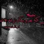 کتاب شبی که عروسک زنده شد