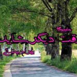 کتاب وقت دیگر شاید