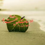 کتاب ادبيات چيست؟