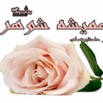 رمان همیشه شوهر