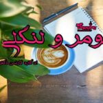 رمان هومر و لنگلی