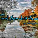 رمان این یک فصل دیگر است