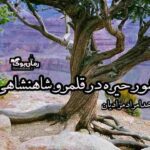 کتاب کشور حیره در قلمرو شاهنشاهی ساسانیان