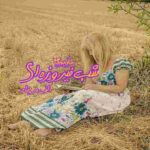 رمان شب فیروزه ای