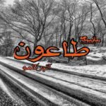 کتاب رمان طاعون
