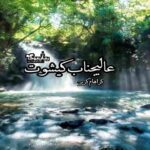 رمان عالیجناب کیشوت