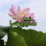 رمان کتاب ما در برابر شما