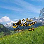 رمان سپید دندان