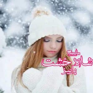 رمان شاه خشت