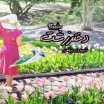 رمان دختر زشت
