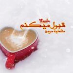 رمان قبول میکنم