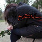 رمان سایه سرخ