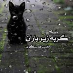کتاب گربه زیر باران