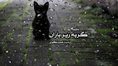 کتاب گربه زیر باران 34