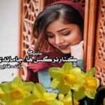 رمان کنار نرگس ها جا ماندی