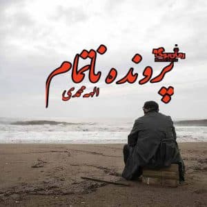رمان پرونده ناتمام