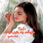 رمان شلیک به خورشید