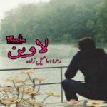 رمان لاوین