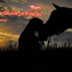 رمان روئیده در دامان عشق