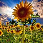 رمان گل آفتابگردان