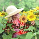 رمان گلهای آفتابگردان