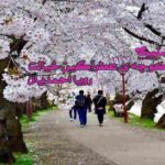 رمان کوچهی عطرآگین خیالت