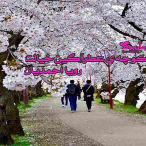 رمان کوچه‌ی عطرآگین خیالت