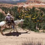 رمان مردی که حرف میزند