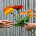 رمان ناسور عشق