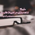 کتاب شاهدبازی در ادبیات فارسی