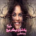 رمان یک شب و دیگر هیچ