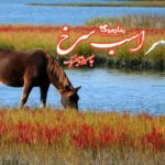 رمان اسب سرخ