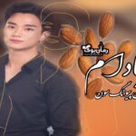 کتاب بادام