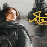 رمان لواشکم