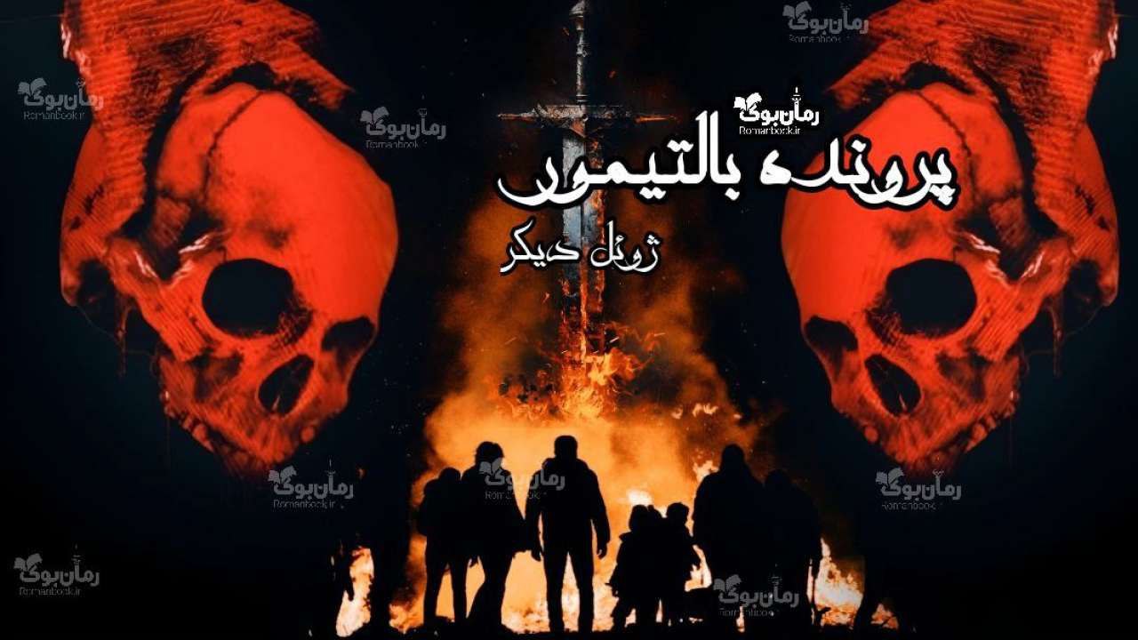 رمان پرونده بالتیمور