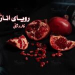 رمان رویای انار