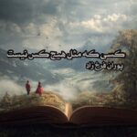 کتاب کسی که مثل هیچ کس نیست