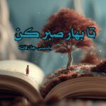 کتاب تا بهار صبر کن باندینی