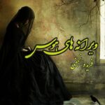 رمان ویرانه های هوس نویسنده فریده نجفی