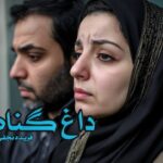 رمان داغ گناه نویسنده فریده نجفی