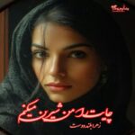 رمان چایت را من شیرین میکنم