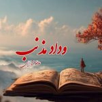 رمان وداد مذنب